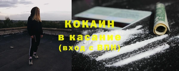индика Бронницы