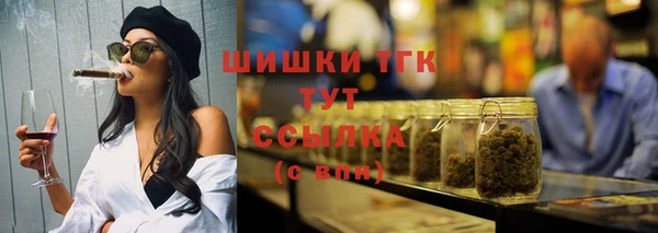 индика Бронницы