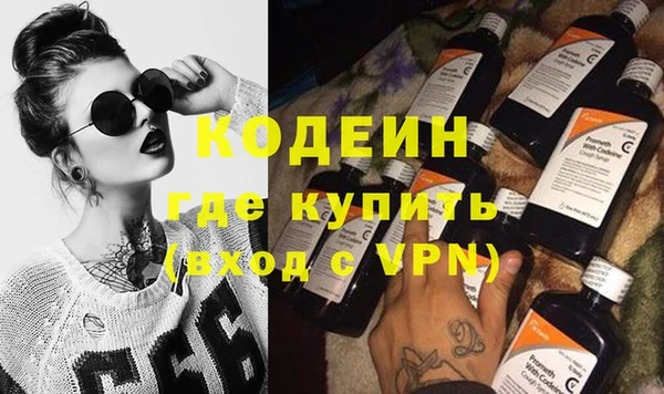 индика Бронницы