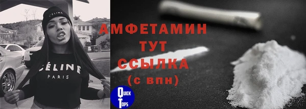 индика Бронницы