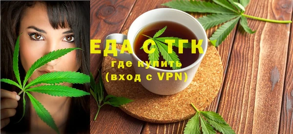 индика Бронницы
