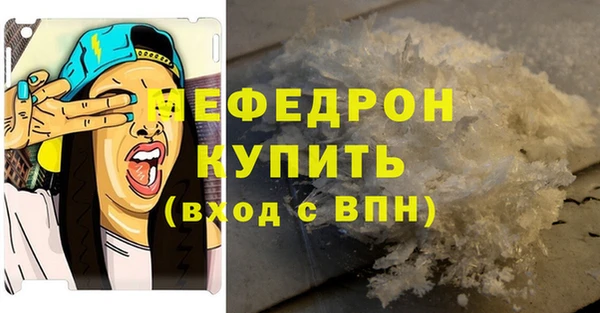 индика Бронницы
