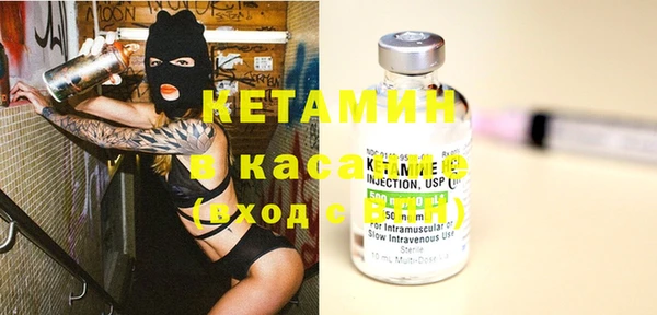 индика Бронницы