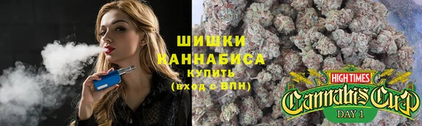 индика Бронницы